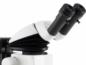 1669814501.gif df94a92b34ce25b9ae6b81de0b1ccc6e.gif