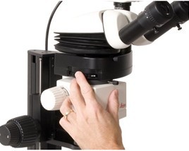 1669814616.jpg 42e21bf80139cf0175bdf2c2bbbad548.jpg