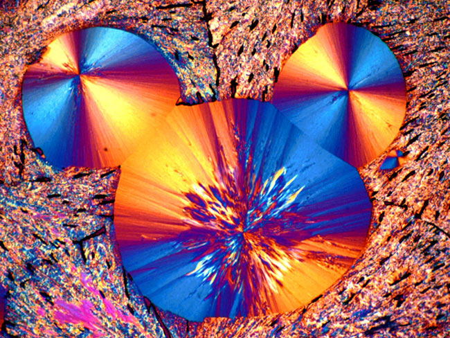 1670132531.jpg 7907e04d946c6d122c82ebe168fd238f.jpg