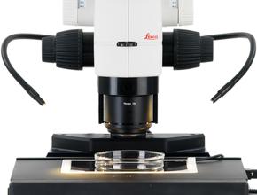 1670133770.jpg e83c4d7e8e0cafcb1827e1538d537d75.jpg