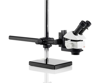 1670134788.jpg ecf02dcd513f7a4c23f64a27a0db7fe8.jpg