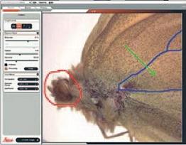 1670135881.jpg 3f8db7636c16831e2dbc43d3d54e8837.jpg